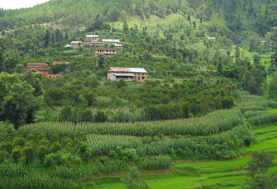 Que tengo que incluir a mi viaje a Nepal