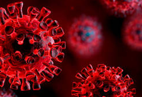 ¿Por qué Nepal no sufrirá la pandemia de Covid-19 como Occidente?