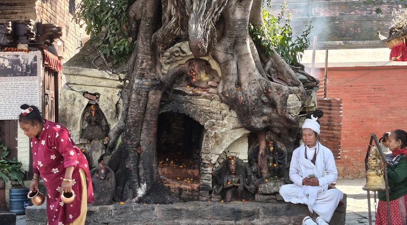 Yogi en plaza durbar de Kathmandu