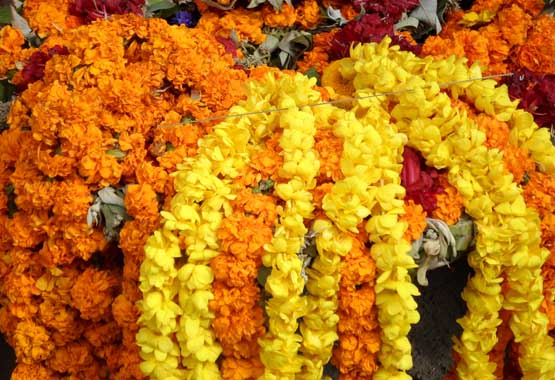 Excursiones de Katmandú con coche, guía y conductor por Himalayan Viajes